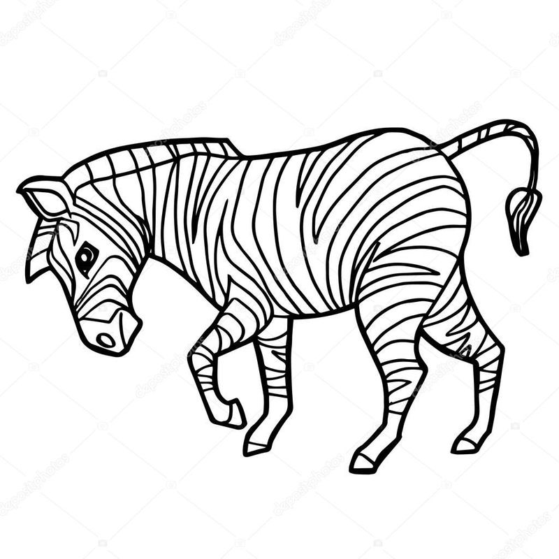 Printable Coloring Pages Of A Zebra