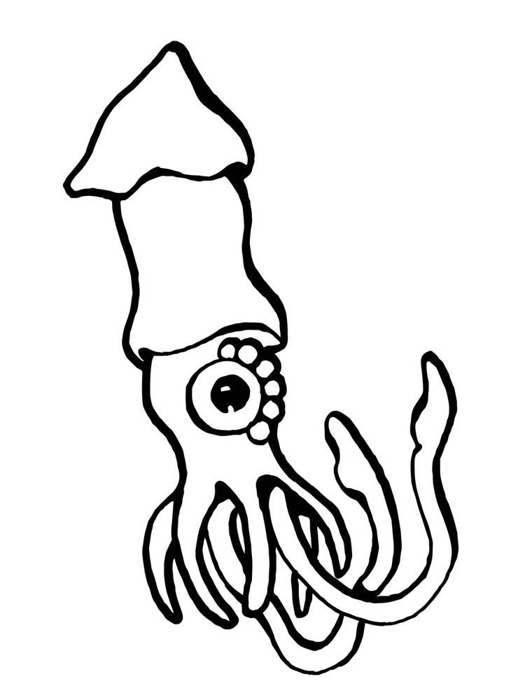 Printable Colossal Squid Coloring Page Free