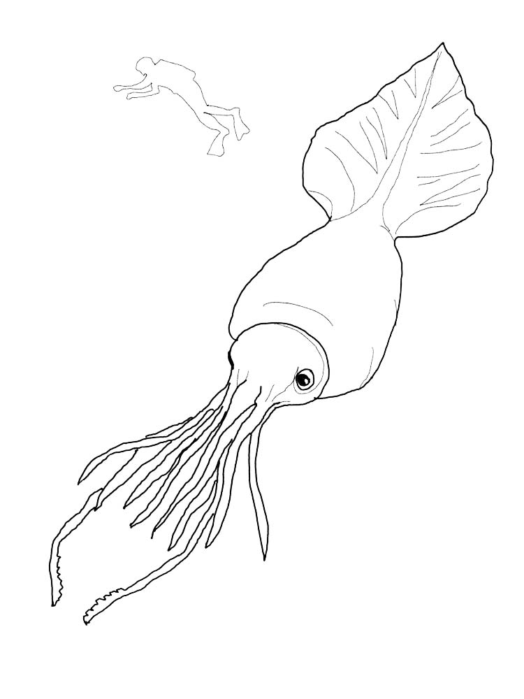 Printable Colossal Squid Coloring Pages