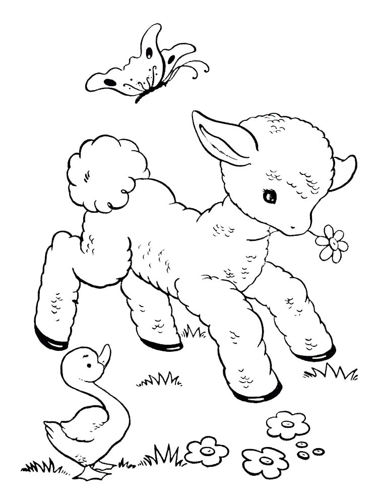 Printable Counting Sheep Coloring Pages