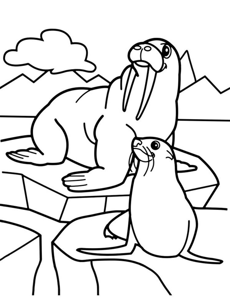 Printable Cute Baby Seal Coloring Pages