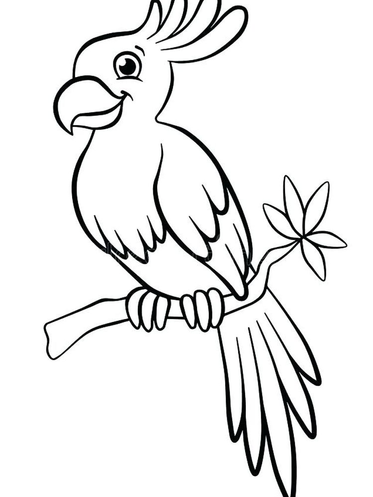 Printable Flying Parrot Coloring Pages