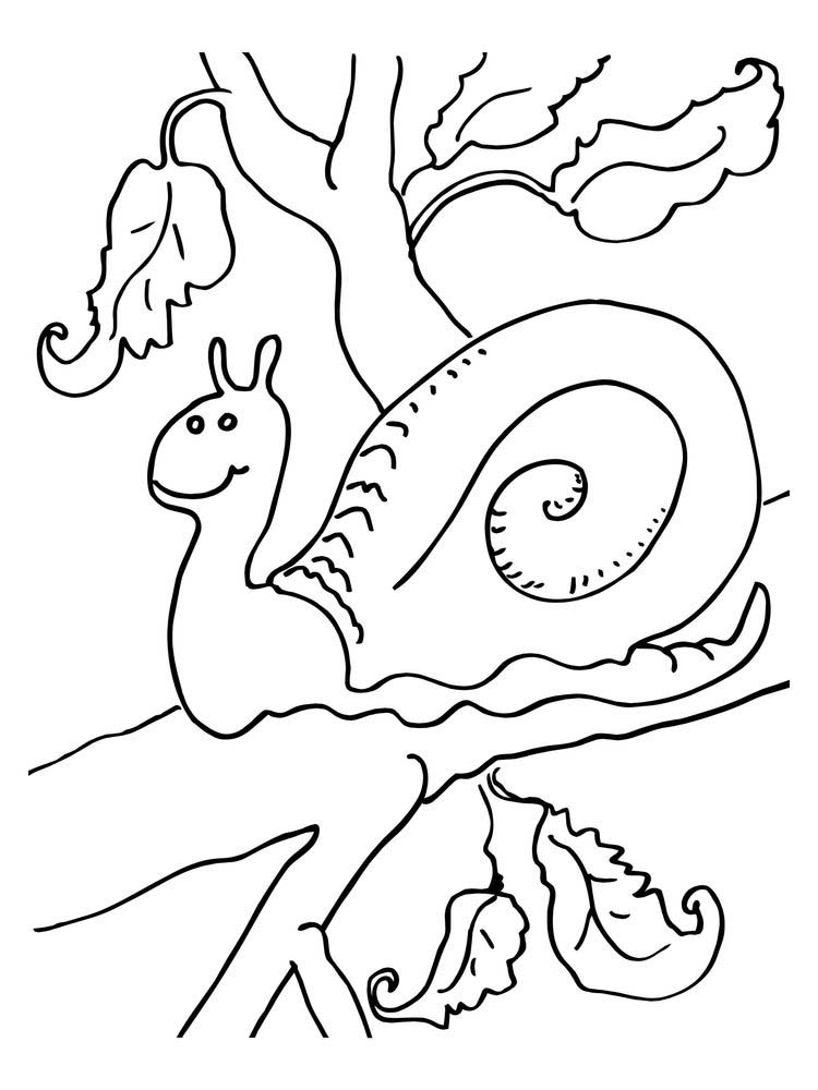 Printable Free Snail Coloring Pages