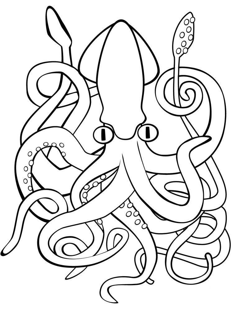 Printable Giant Squid Coloring Page