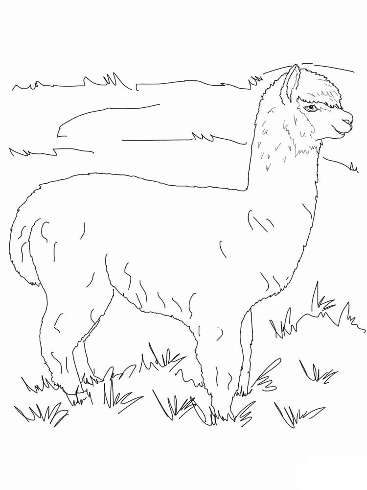 Printable Llama Coloring Pages Fortnite