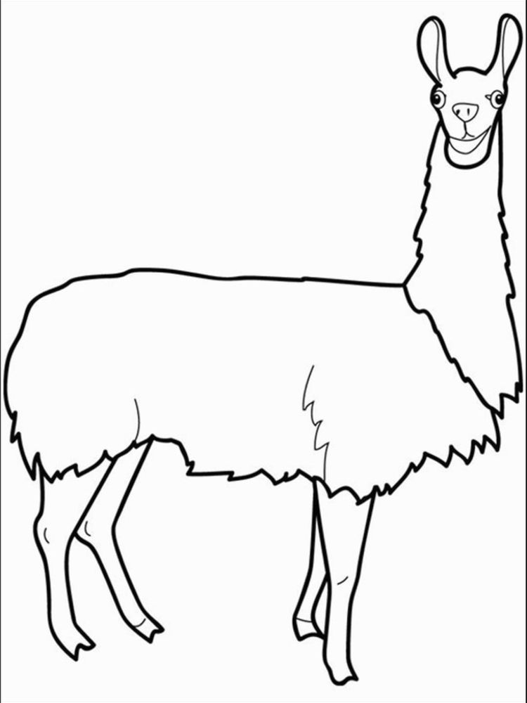 Printable Llama Coloring Pages Pdf