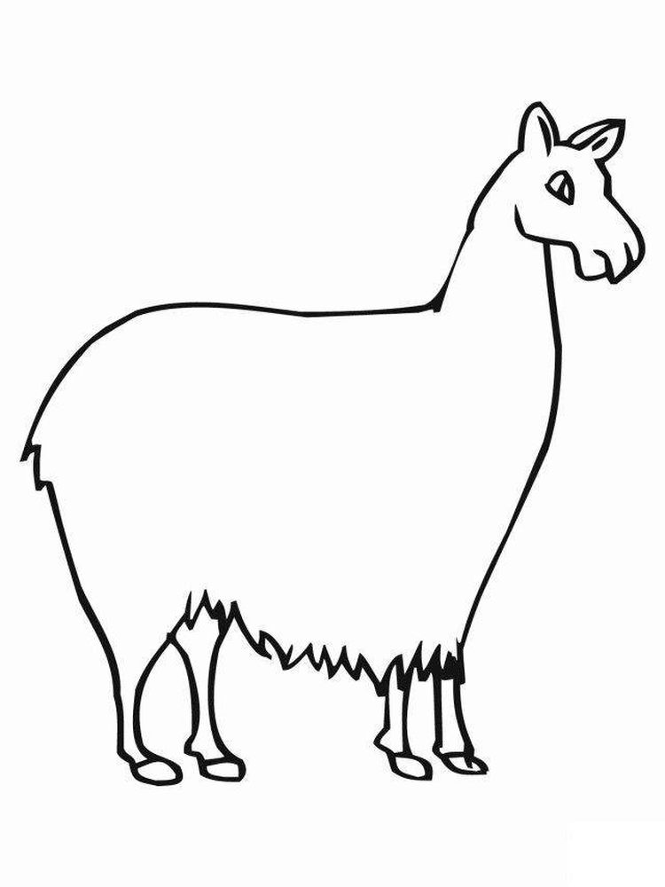 Printable Llama Coloring Pages To Print