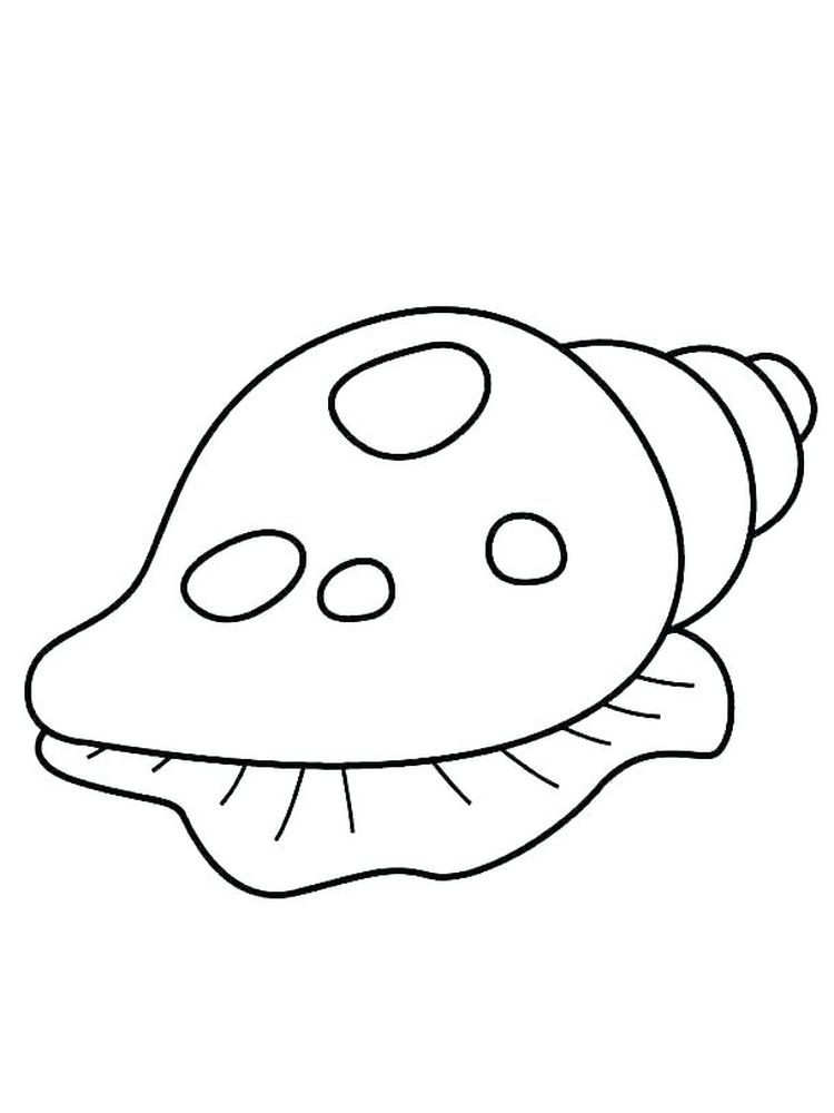 Printable Nautilus Shell Coloring Page