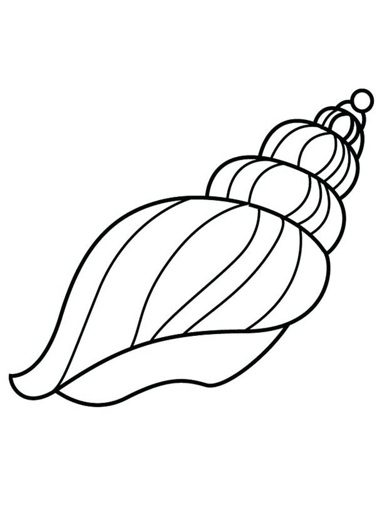 Printable Of Shell Coloring Page