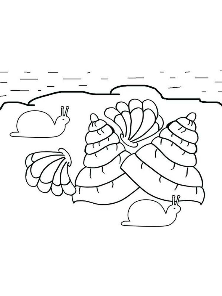 Printable Oyster Shell Coloring Page