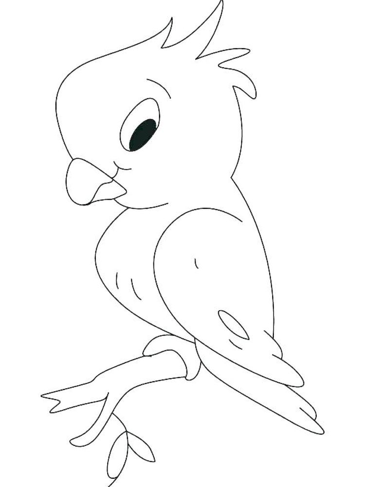 Printable Parrot Bird Coloring Pages