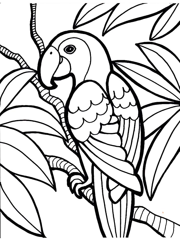 Printable Parrot Coloring Pages