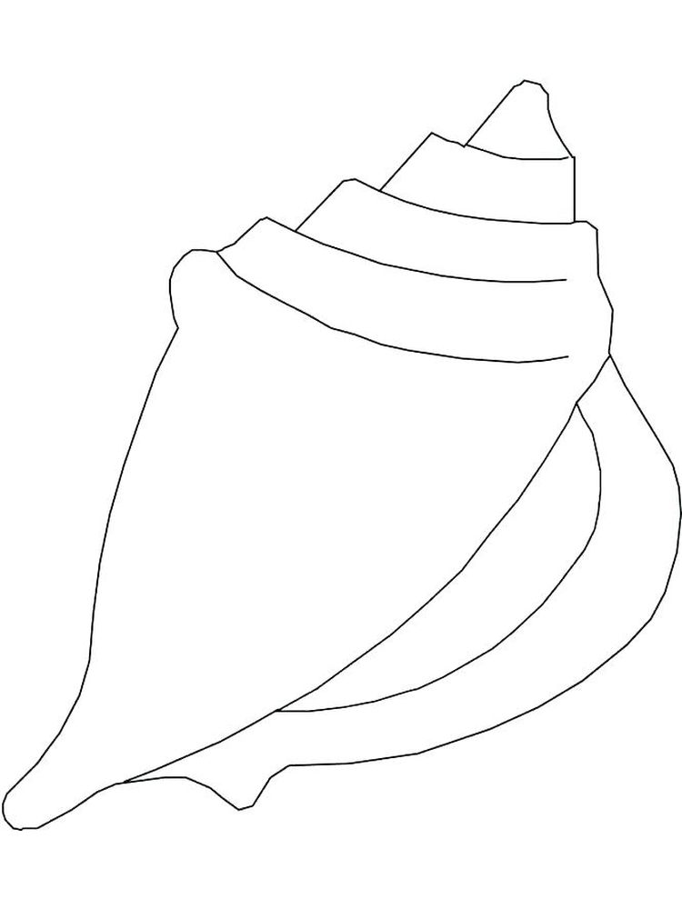 Printable Preschool Seashell Coloring Page