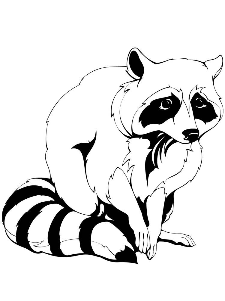 Printable Raccoon Coloring Page Preschool