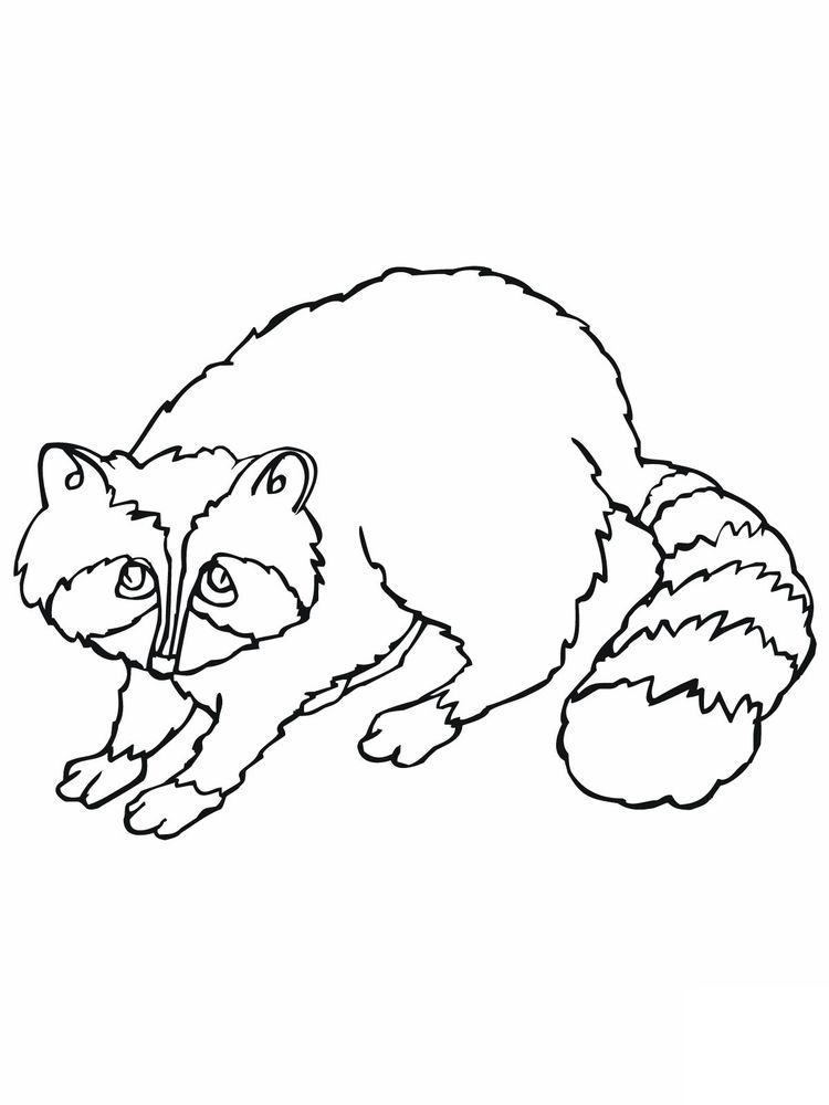 Printable Raccoon Head Coloring Page