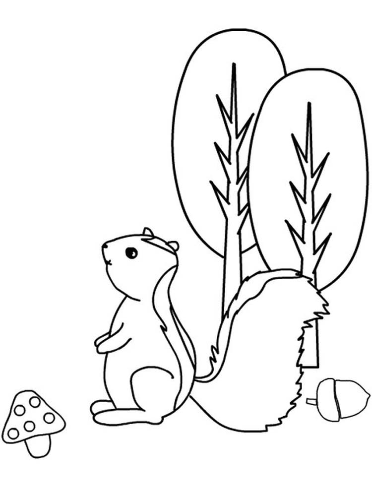 Printable Realistic Skunk Coloring Pages