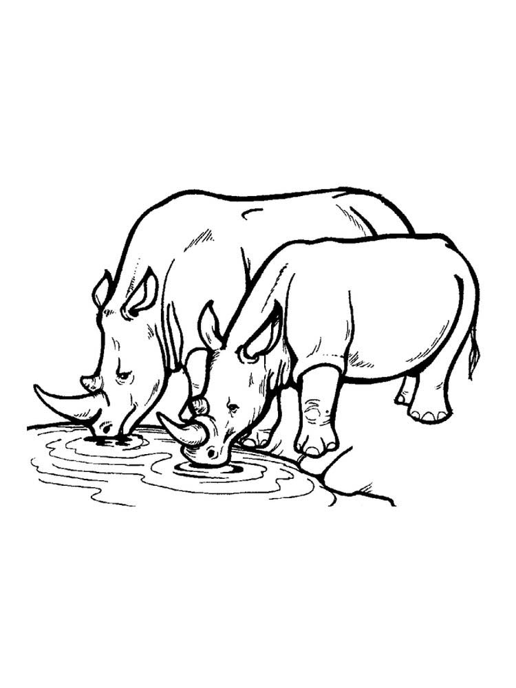 Printable Rhinoceros Coloring Pages Pdf