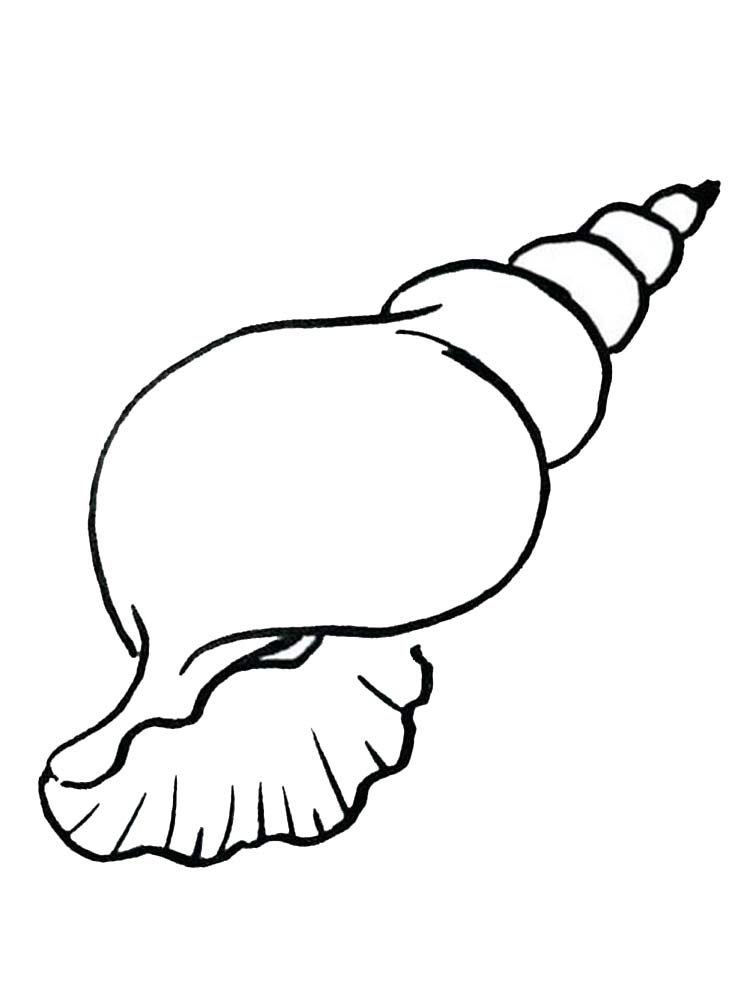 Printable Seashell Free Coloring Page