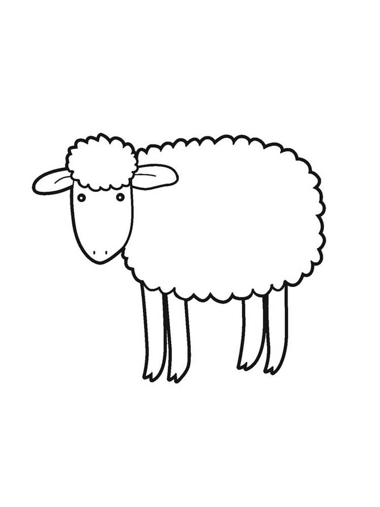 Printable Sheep And Goat Coloring Pages