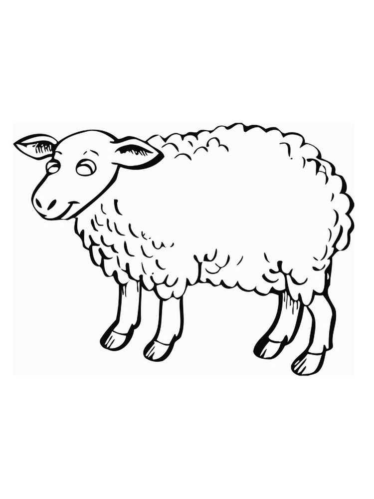 Printable Sheep Coloring Book Pages