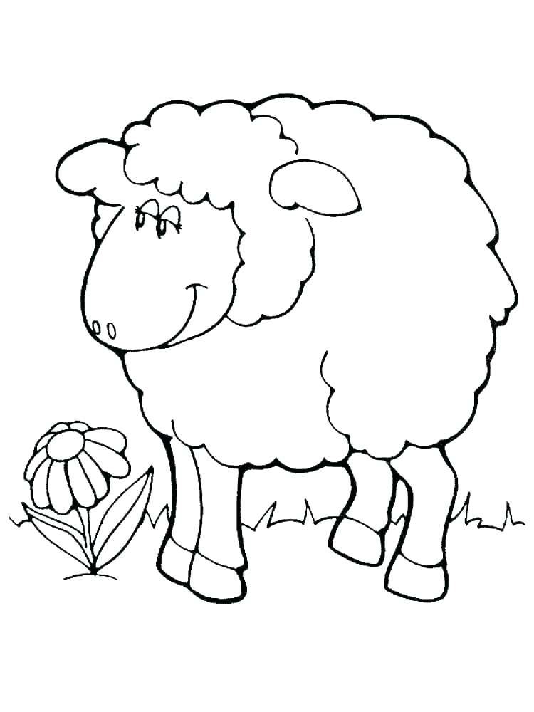 Printable Sheep Coloring Pages Pdf