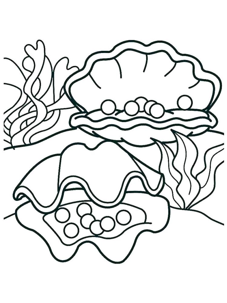 Printable Shell Coloring Pages