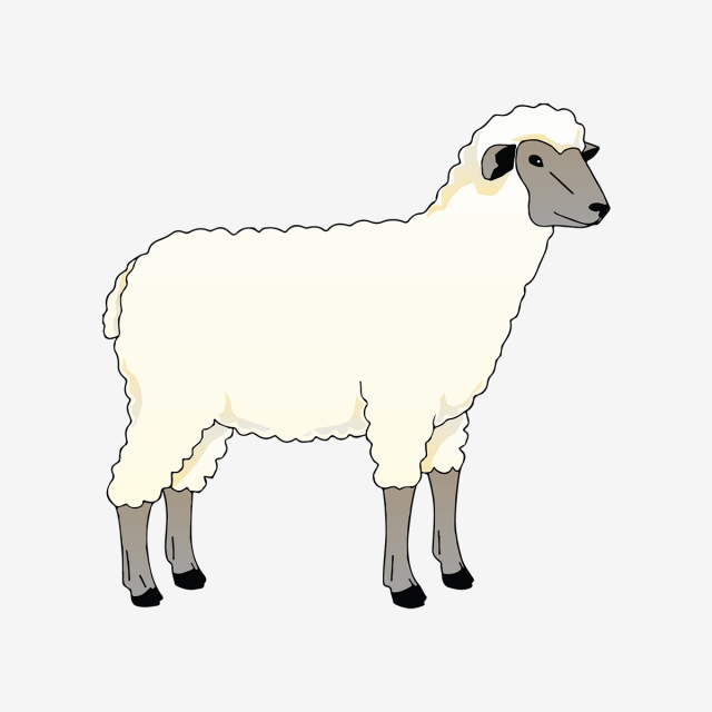 Tame and Gentle Animal, Sheep Coloring Pages