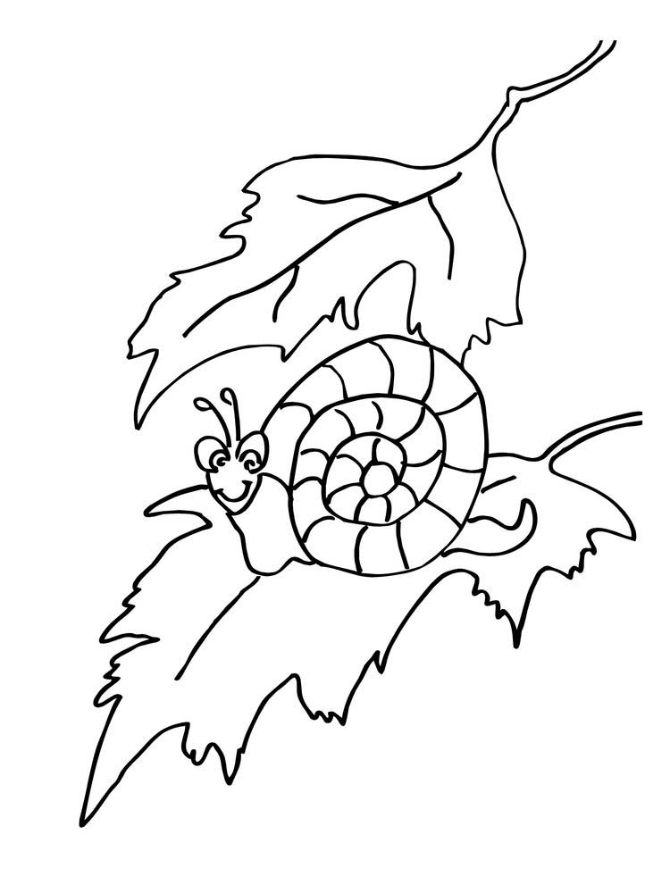 Printable Snail Coloring Pages Printable