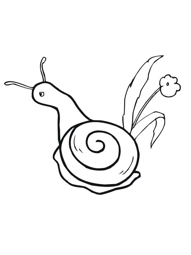 Printable Snail Coloring Pages