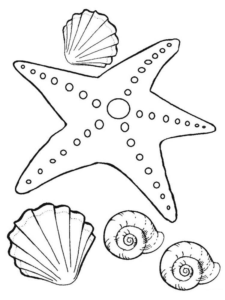 Printable Starfish Coloring Page