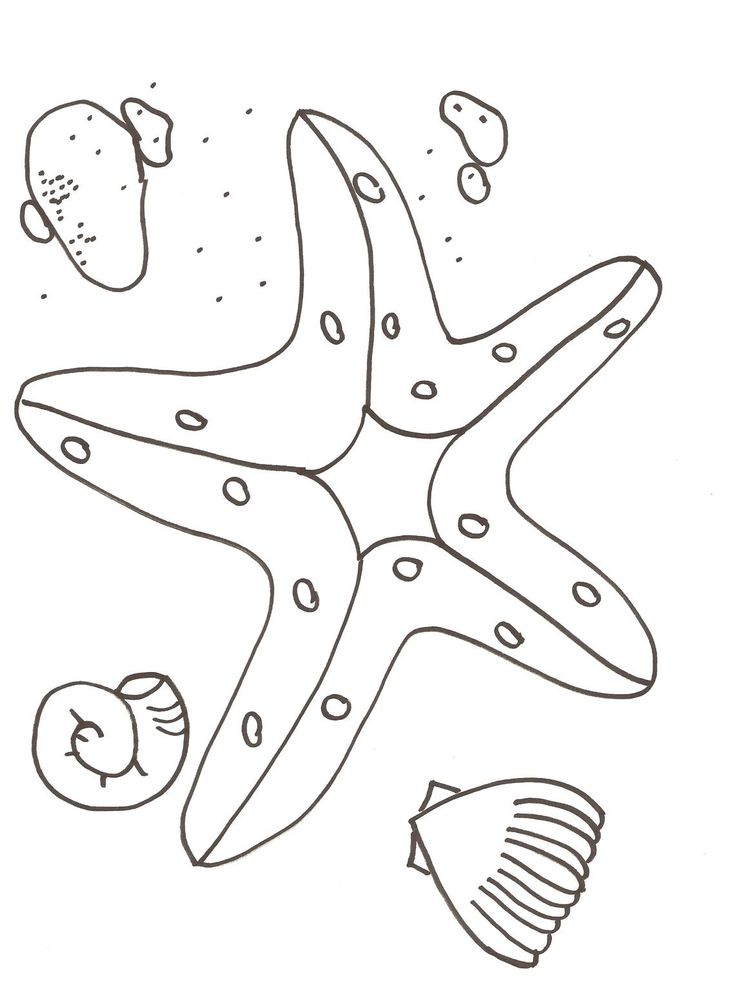 Printable Starfish Coloring Pages For Preschoolers