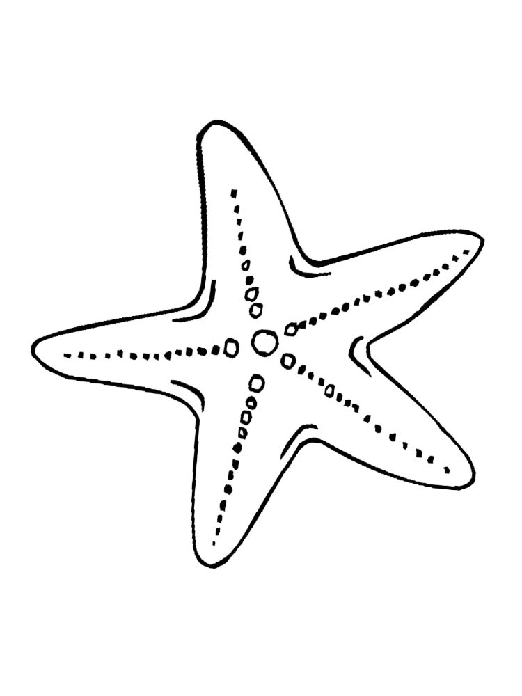 Printable Starfish Coloring Pages Online