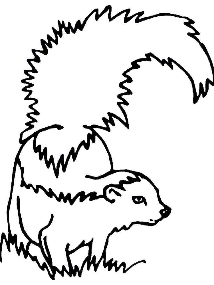 Printable skunk coloring pages free