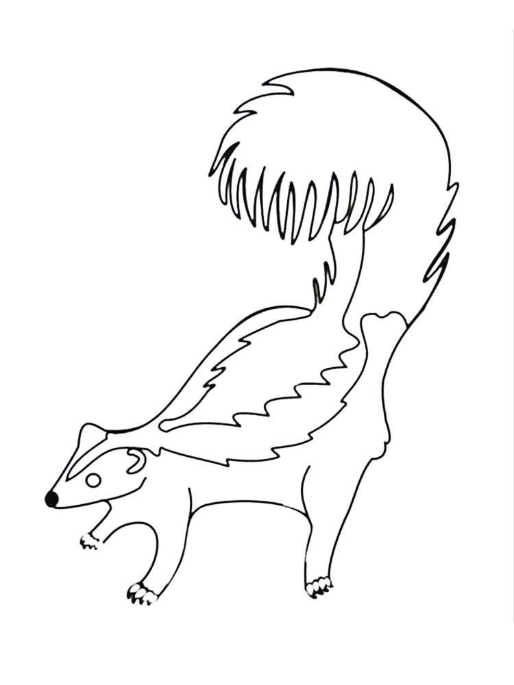 Printable skunk coloring pages online