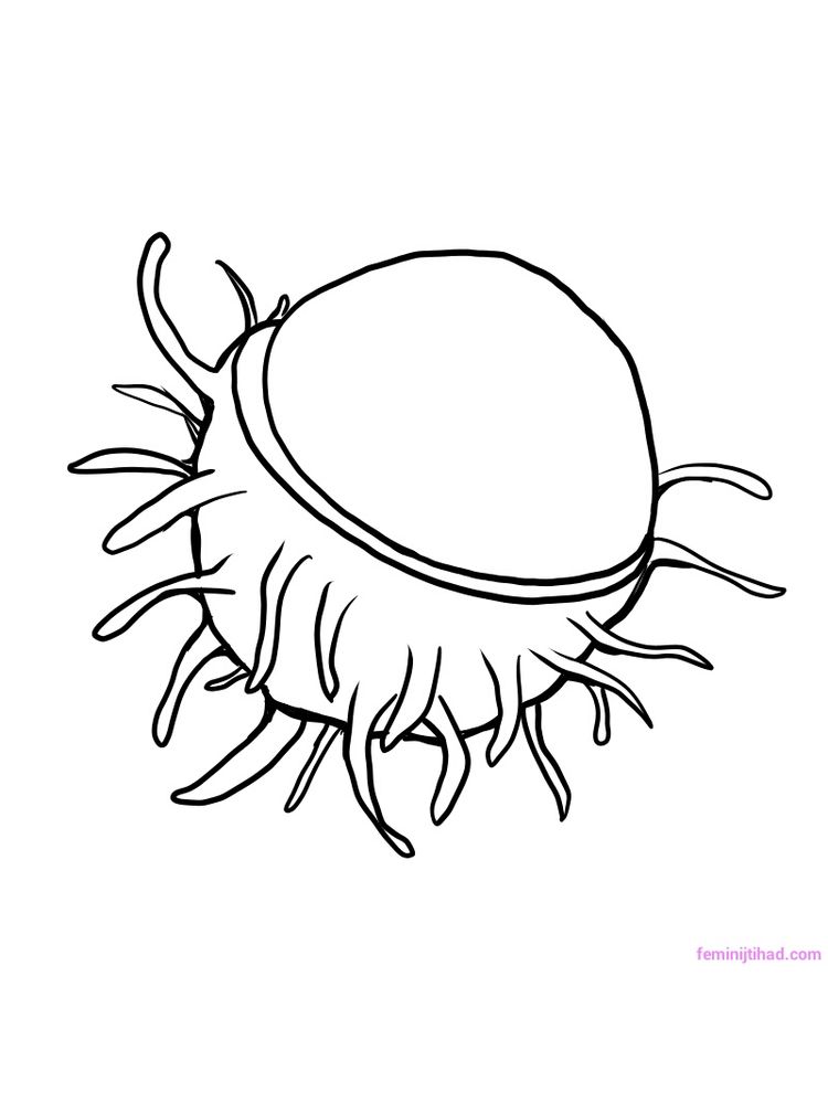 Rambutan coloring page download free