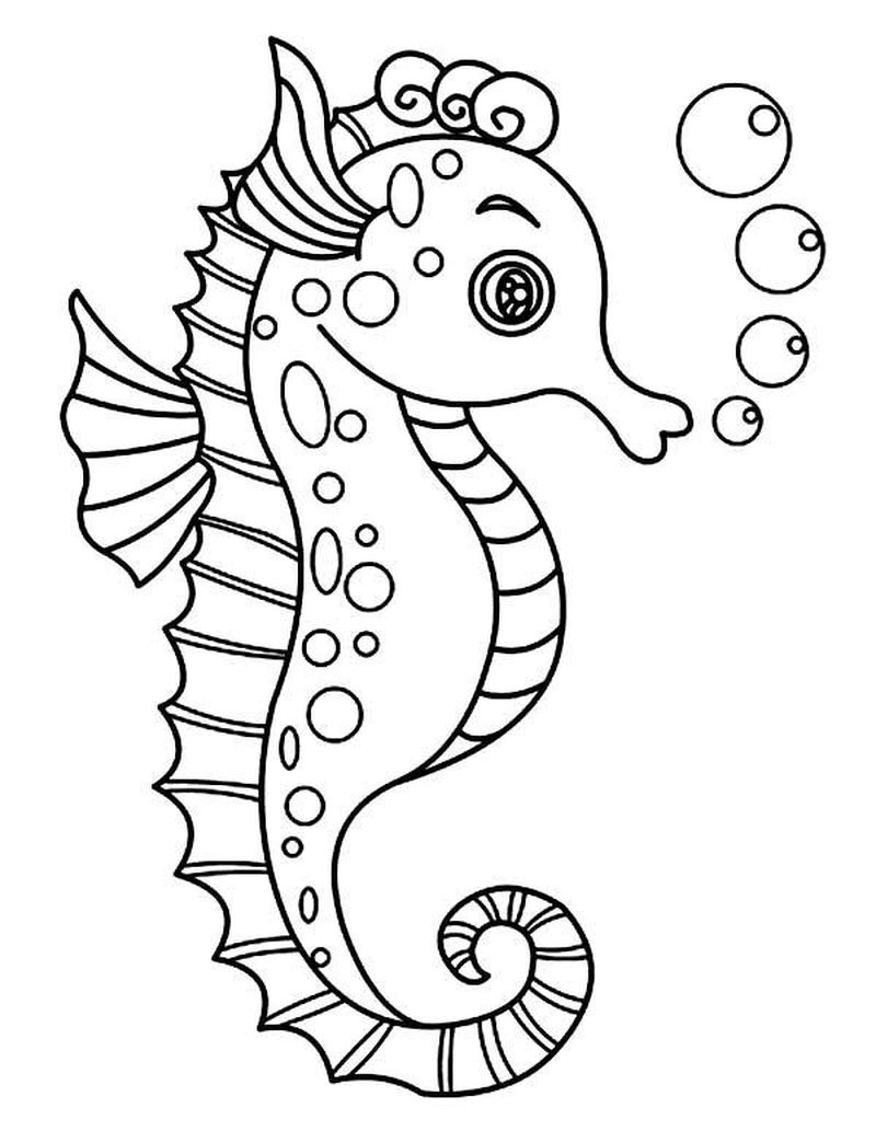 Seahorse Coloring Pages For Prek