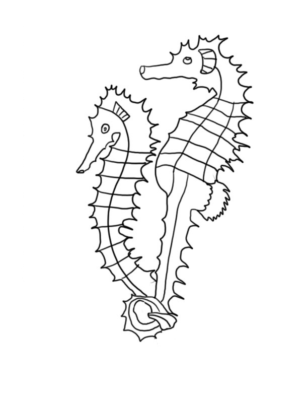 Seahorse Coloring Pages Printable Pdf