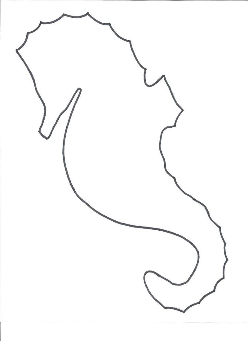 Seahorse Coloring Pages With Color