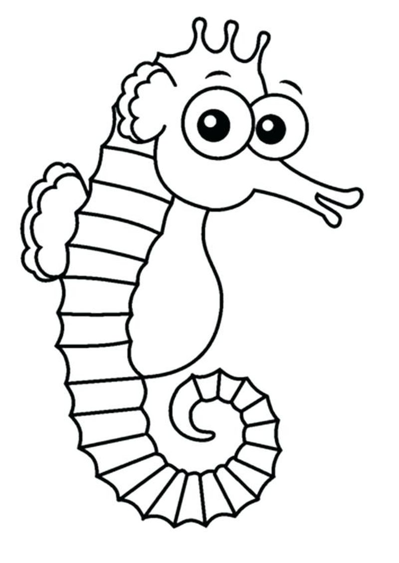 Seahorse Colouring Pages Free