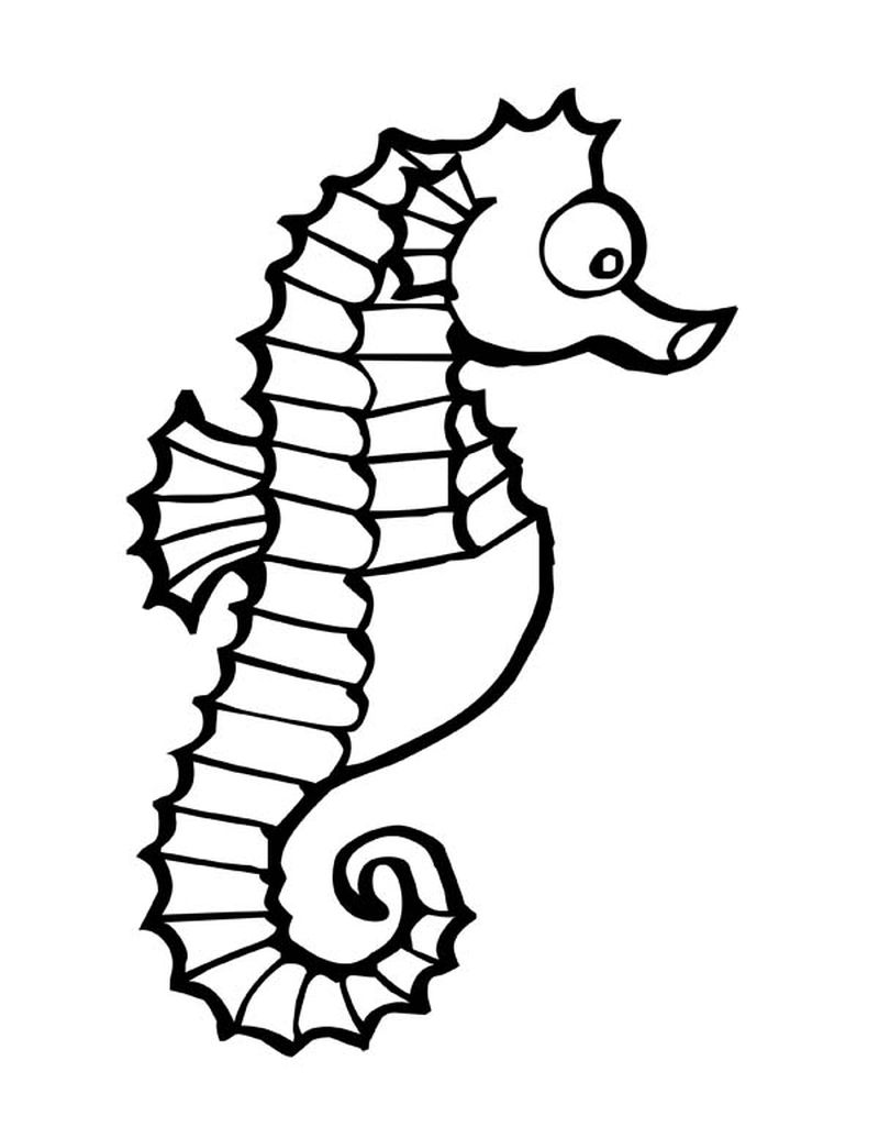 Small Seahorse Coloring Pages