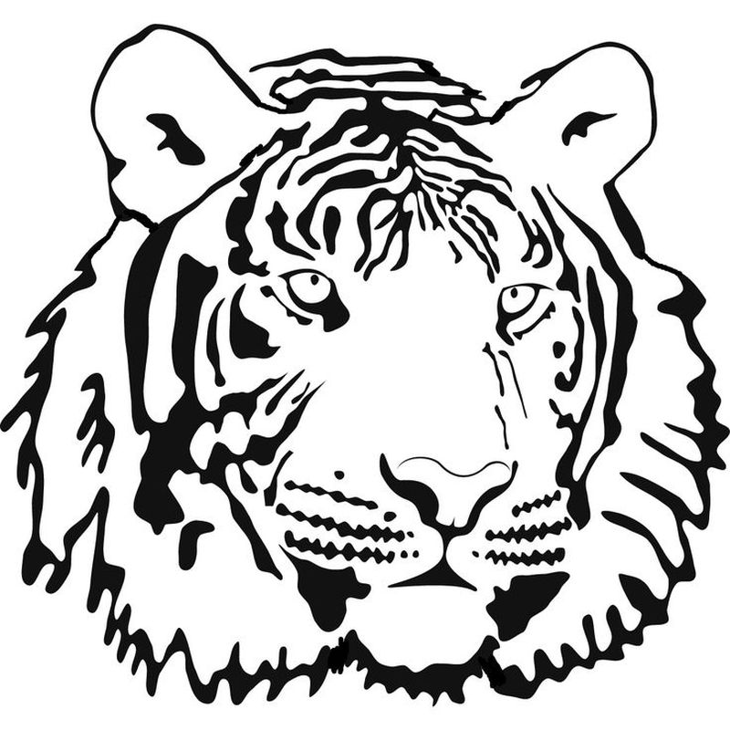 South China Tiger Coloring Pages