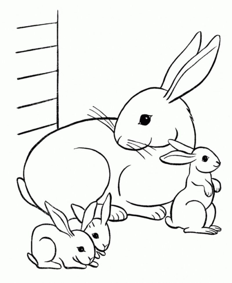 alice in wonderland white rabbit coloring pages