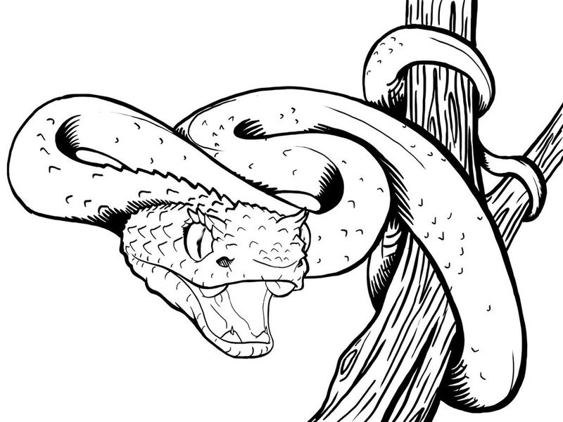 cross snake coloring pages