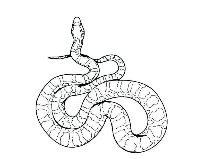 cuties snake coloring pages