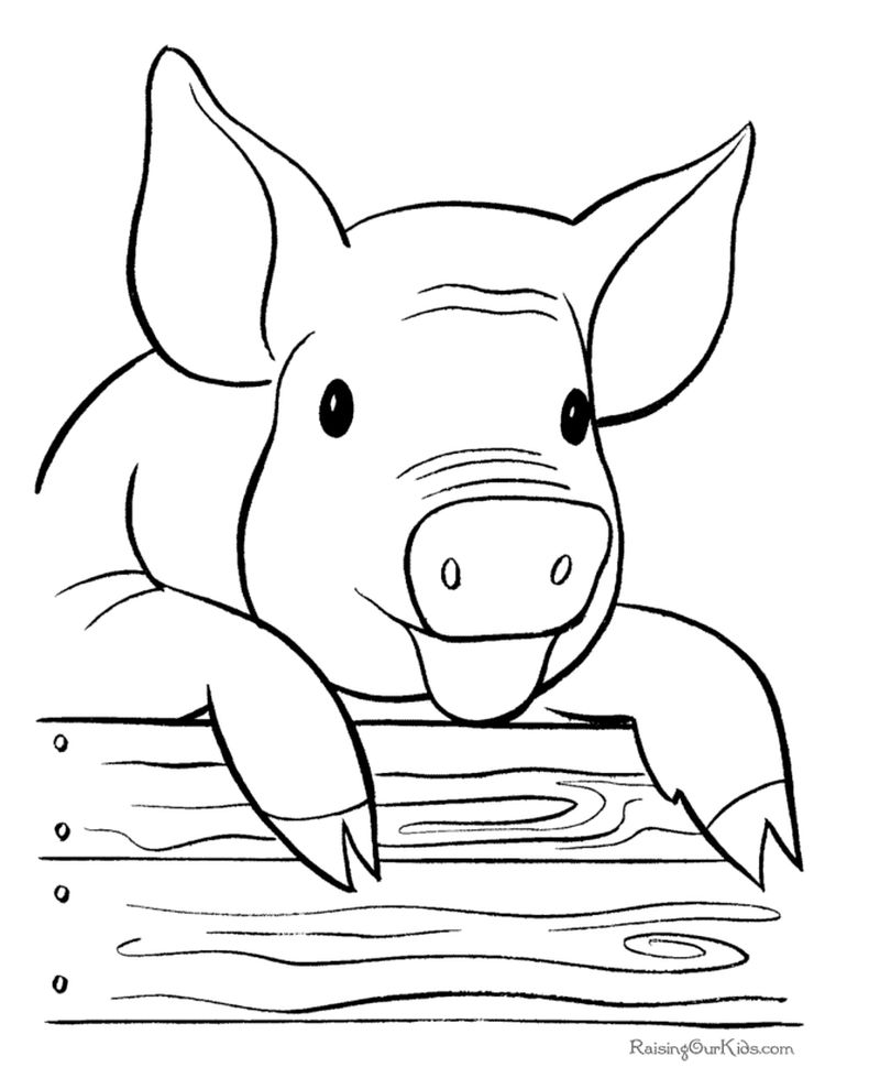 daddy pig coloring pages