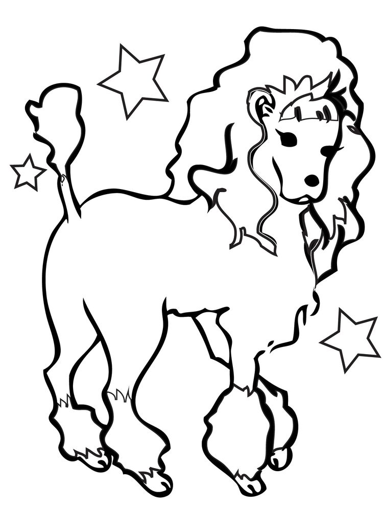 download poodle coloring pages picture