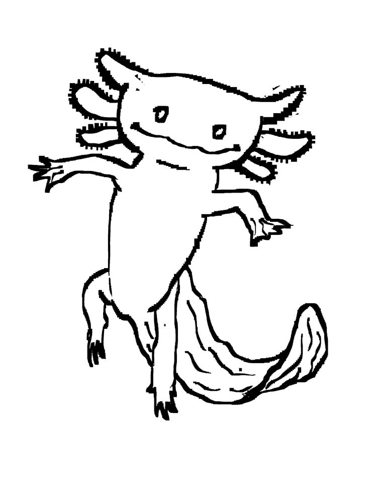 download salamander coloring page