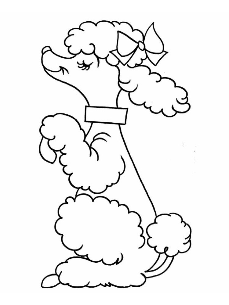 free poodle coloring page pdf