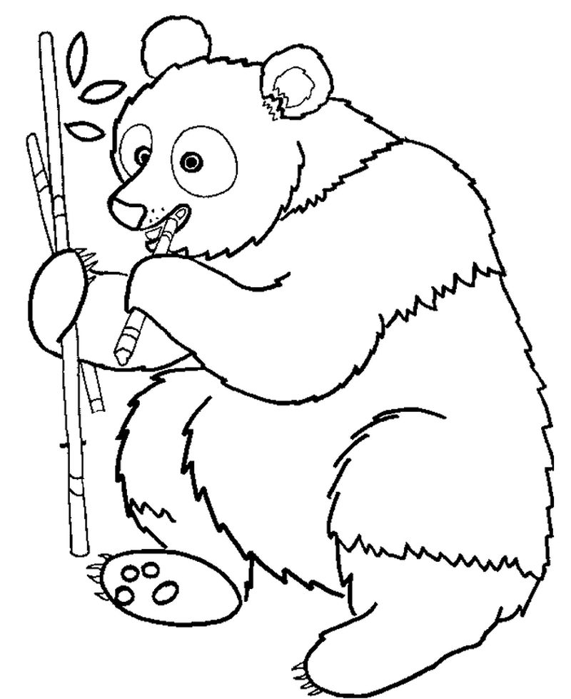 free printable panda coloring pages