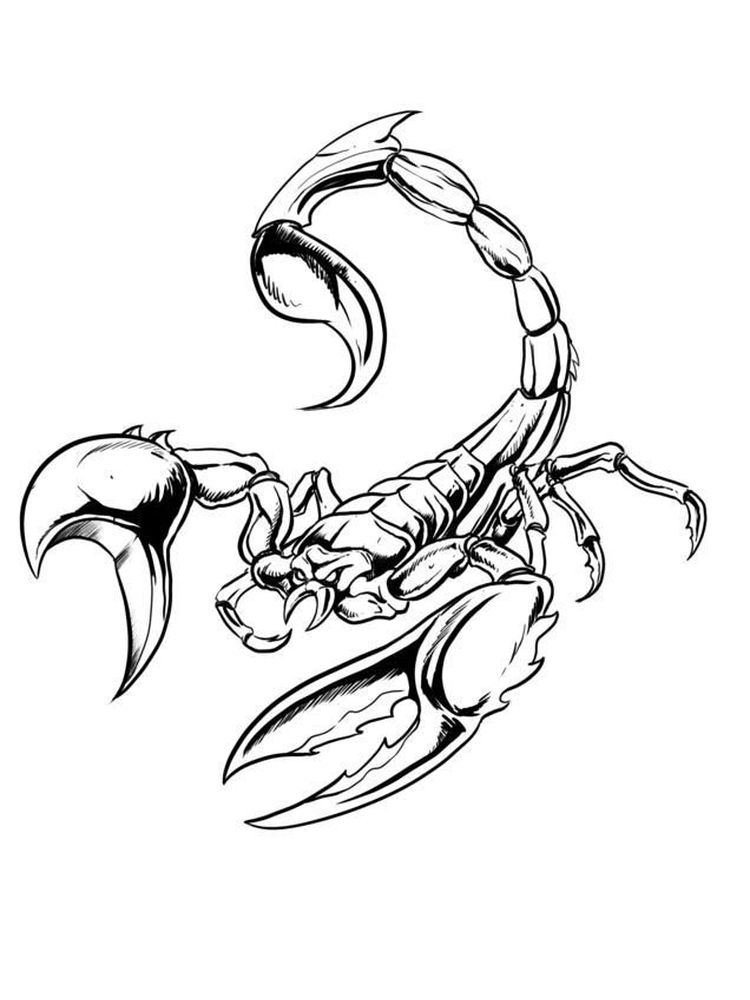 free printable scorpion coloring pages